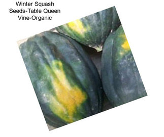 Winter Squash Seeds-Table Queen Vine-Organic