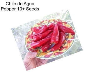 Chile de Agua Pepper 10+ Seeds