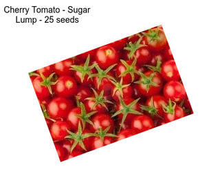 Cherry Tomato - Sugar Lump - 25 seeds