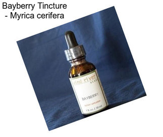 Bayberry Tincture - Myrica cerifera