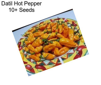 Datil Hot Pepper 10+ Seeds