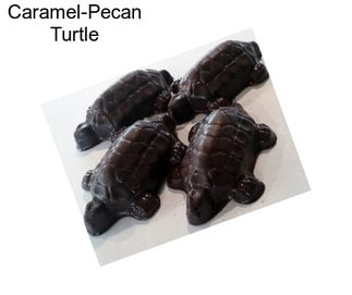 Caramel-Pecan Turtle