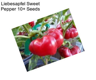 Liebesapfel Sweet Pepper 10+ Seeds