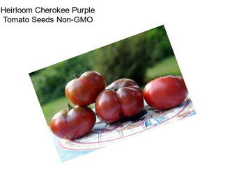Heirloom Cherokee Purple Tomato Seeds Non-GMO