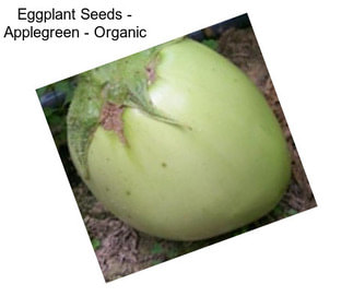 Eggplant Seeds - Applegreen - Organic