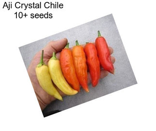 Aji Crystal Chile 10+ seeds