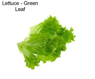 Lettuce - Green Leaf