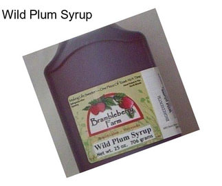 Wild Plum Syrup