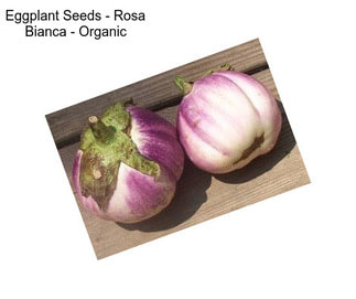 Eggplant Seeds - Rosa Bianca - Organic