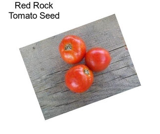 Red Rock Tomato Seed
