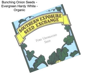 Bunching Onion Seeds - Evergreen Hardy White - Organic