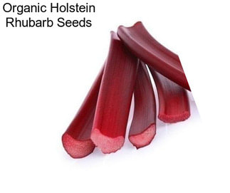 Organic Holstein Rhubarb Seeds