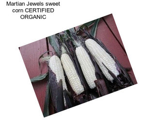 Martian Jewels sweet corn CERTIFIED ORGANIC