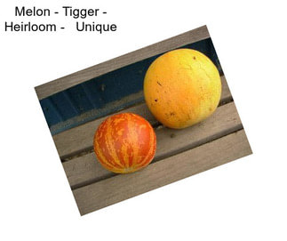 Melon - Tigger - Heirloom -   Unique