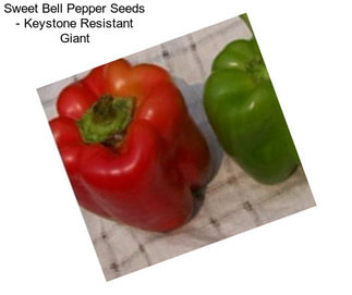 Sweet Bell Pepper Seeds - Keystone Resistant Giant
