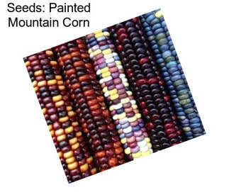 Seeds: Painted Mountain Corn