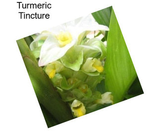 Turmeric Tincture