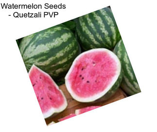 Watermelon Seeds - Quetzali PVP
