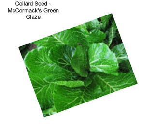 Collard Seed - McCormack\'s Green Glaze