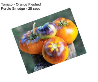 Tomato - Orange Fleshed Purple Smudge - 25 seed