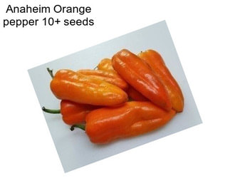 Anaheim Orange pepper 10+ seeds