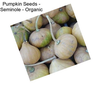 Pumpkin Seeds - Seminole - Organic