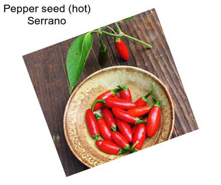 Pepper seed (hot) Serrano