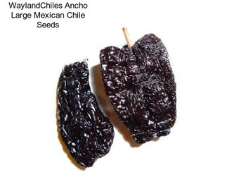 WaylandChiles Ancho Large Mexican Chile Seeds