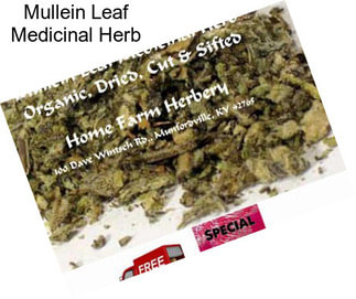 Mullein Leaf Medicinal Herb
