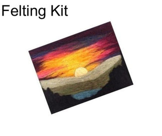 Felting Kit