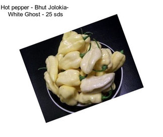 Hot pepper - Bhut Jolokia-  White Ghost - 25 sds