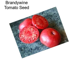 Brandywine Tomato Seed