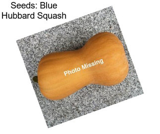 Seeds: Blue Hubbard Squash