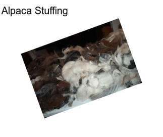 Alpaca Stuffing