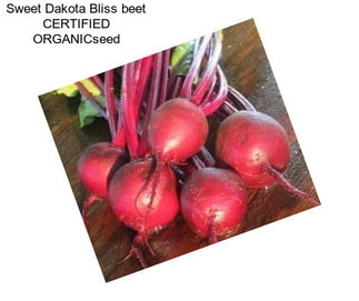 Sweet Dakota Bliss beet CERTIFIED ORGANICseed