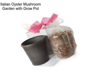 Italian Oyster Mushroom Garden with Grow Pot