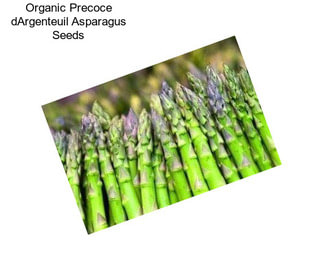 Organic Precoce dArgenteuil Asparagus Seeds