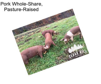 Pork Whole-Share, Pasture-Raised