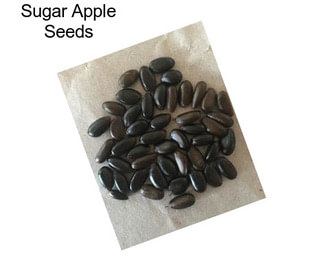 Sugar Apple Seeds