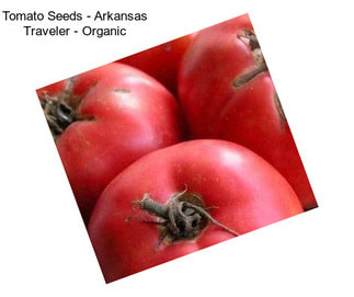 Tomato Seeds - Arkansas Traveler - Organic