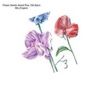 Flower Seeds-Sweet Pea, Old Spice Mix-Organic