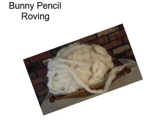 Bunny Pencil Roving