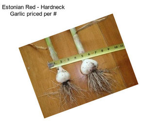 Estonian Red - Hardneck Garlic priced per #