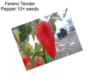 Ferenc Tender Pepper 10+ seeds