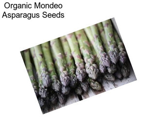 Organic Mondeo Asparagus Seeds