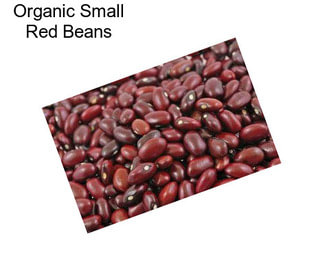 Organic Small Red Beans