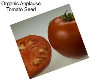 Organic Applause Tomato Seed