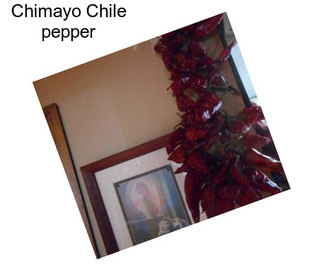 Chimayo Chile pepper