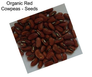 Organic Red Cowpeas - Seeds