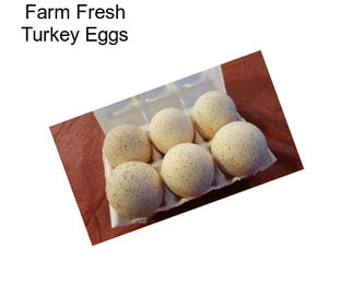 Farm Fresh Turkey Eggs